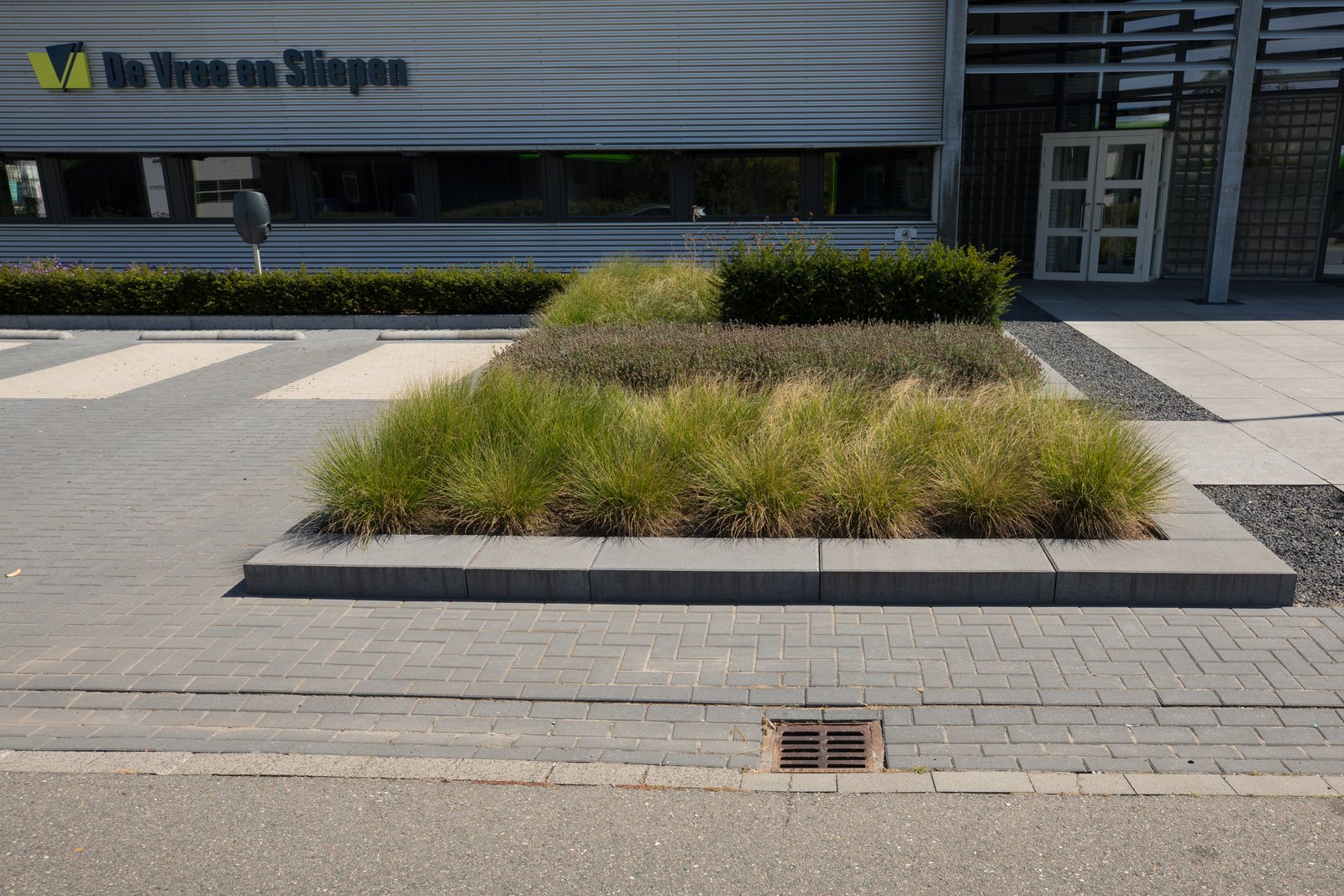 Verhoogd plantvak met siergrassen, ingekaderd door betonbanden