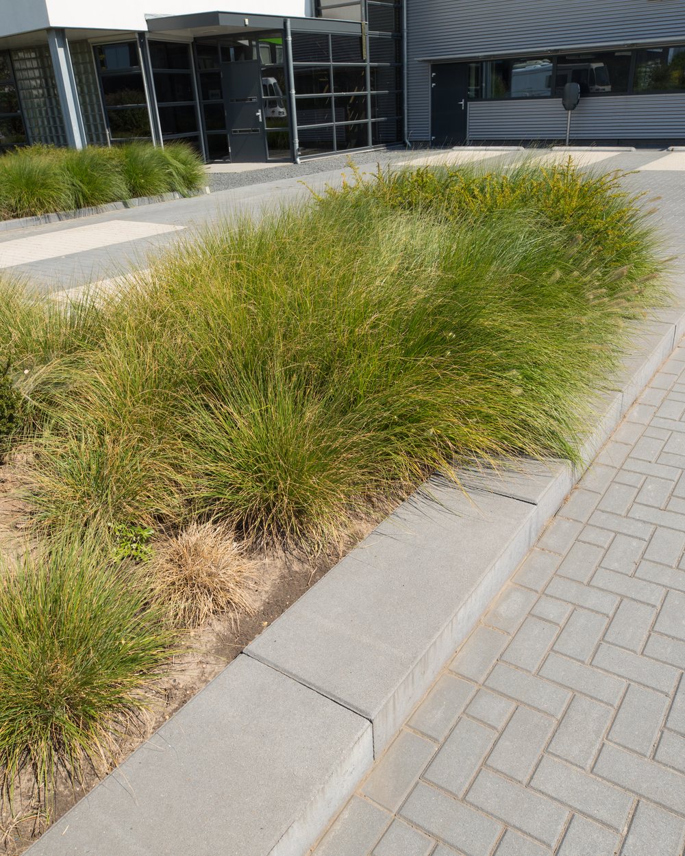 Doorloop langs het pand waar bestrating en beplanting in elkaar overlopen