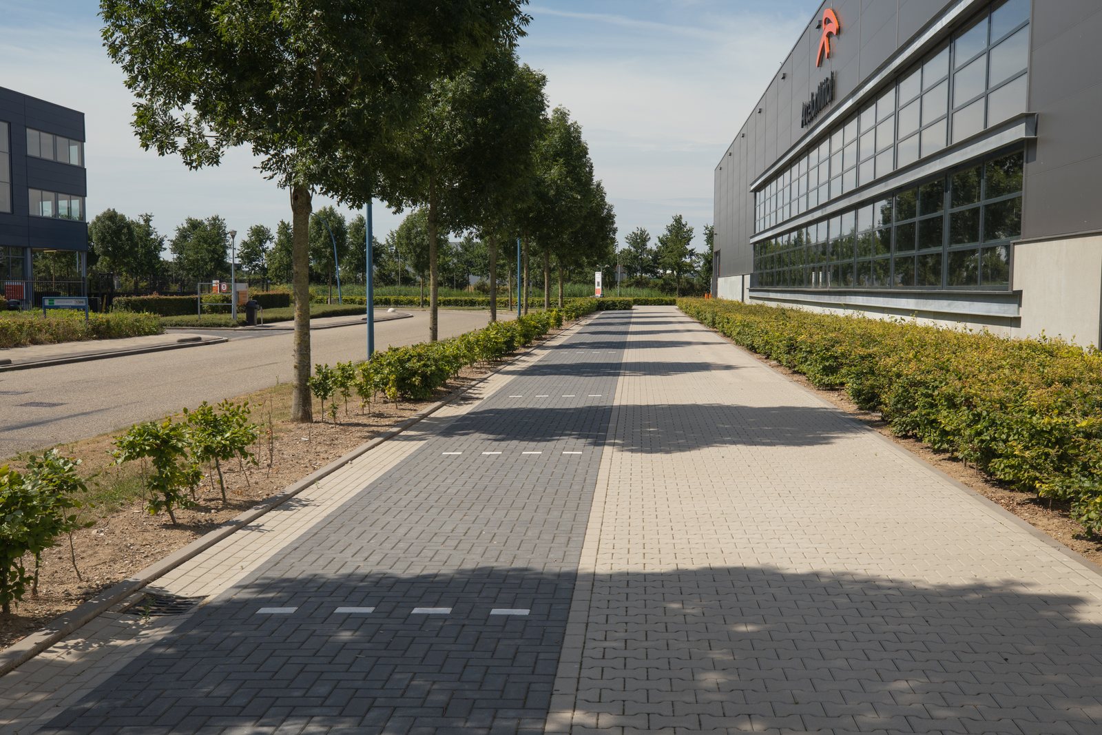 Bestraat pad langs de gevel met bomen en lage beplanting