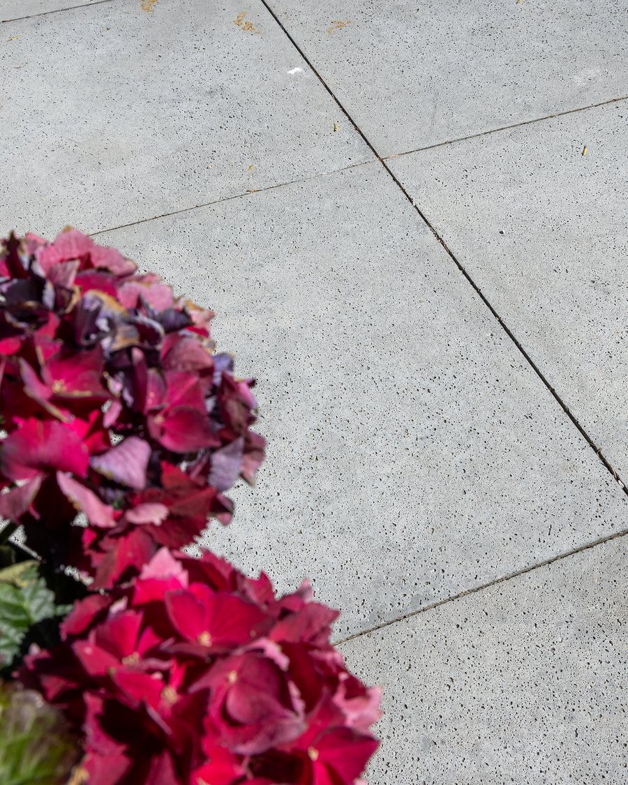 Hortensia tegen een strak gelegde tegelvloer
